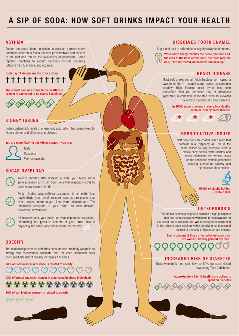 A Sip of Soda How Soda Affects Your Health Infographic